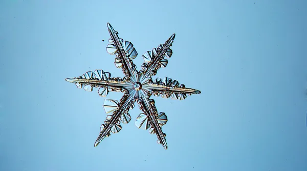 Natural crystal snowflake — Stock Photo, Image