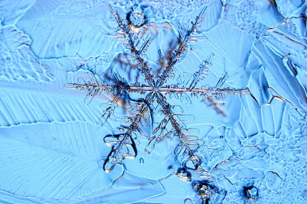 Naturliga crystal snowflake — Stockfoto