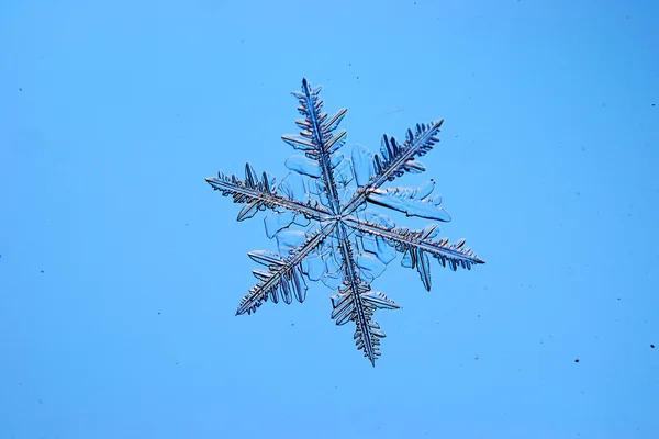 天然水晶雪花 — 图库照片