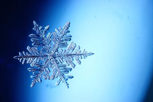 Flocon de neige cristal naturel — Photo