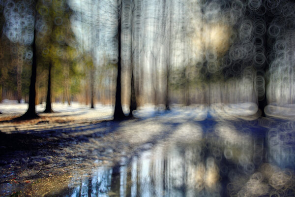 Early winter in forest, nature blurred background