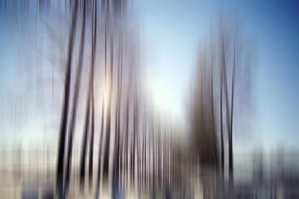 具有运动效应的冬季森林 — 图库照片