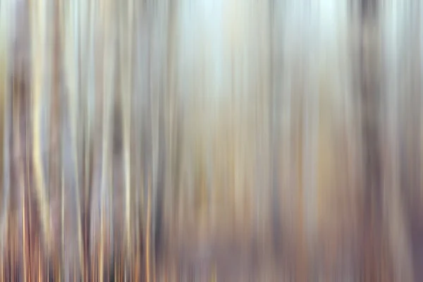 Vinter skog med effekten rörelse — Stockfoto