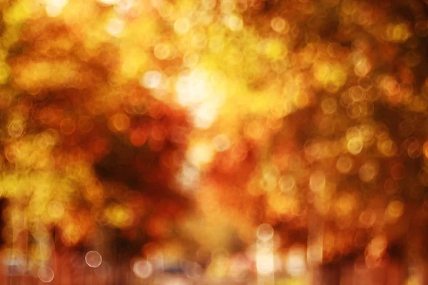 Autumn yellow leaves on trees — Stock Photo, Image