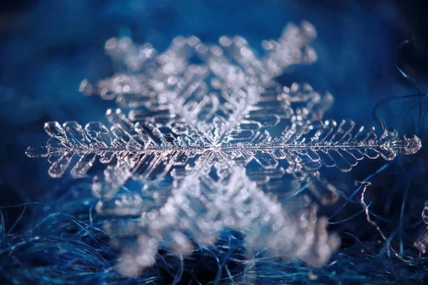 Beau cristal flocon de neige — Photo