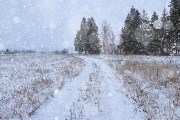 Inverno estrada nevada na floresta — Fotografia de Stock