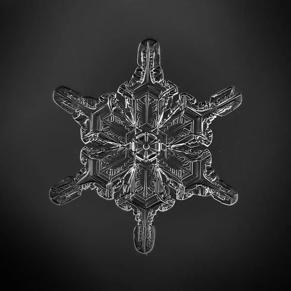 Vackra crystal Snowflake — Stockfoto