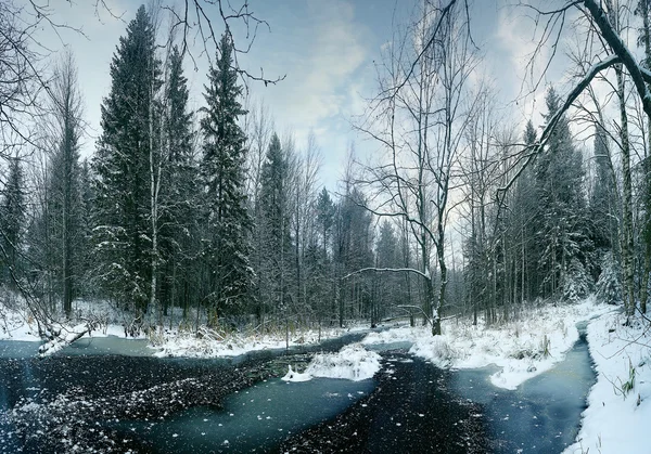 Fagyasztott creek az erdő — Stock Fotó