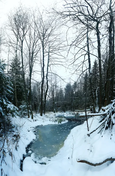 Riacho congelado na floresta — Fotografia de Stock