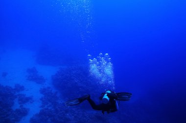 Bir dalgıç su altında 