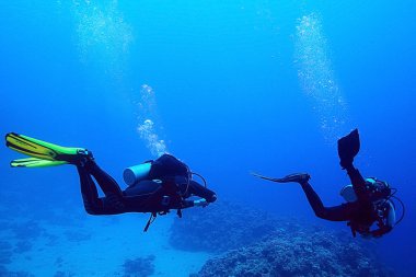 dalgıçlar suyun altında deniz