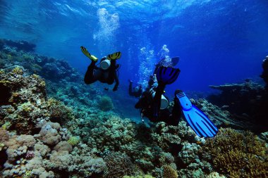 dalgıçlar suyun altında deniz