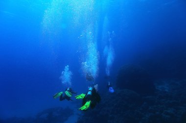 freediving scuba photo clipart