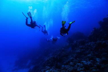 dalgıçlar suyun altında deniz