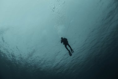 Bir dalgıç su altında