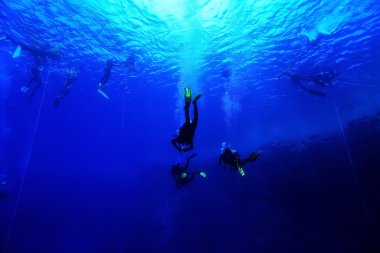 Grup dalgıçlar suyun altında