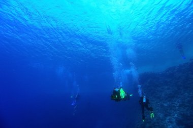 dalgıçlar suyun altında deniz