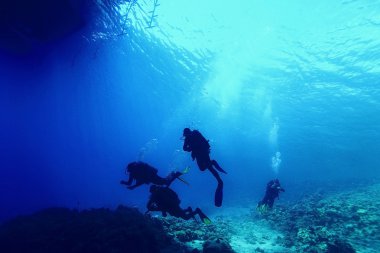 Grup sınavları geçiyor dalgıç