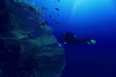 sıradışı fotoğraf dalgıç su altında