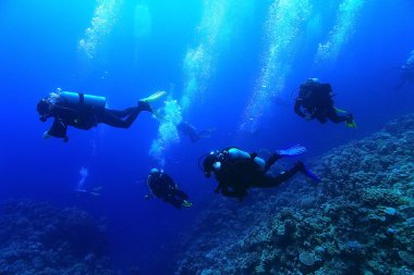 Grup dalgıçlar suyun altında