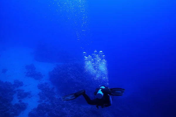 Bir dalgıç su altında — Stok fotoğraf