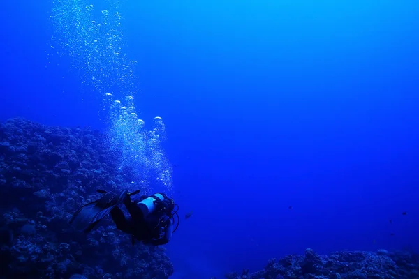 Un buzo bajo el agua — Foto de Stock