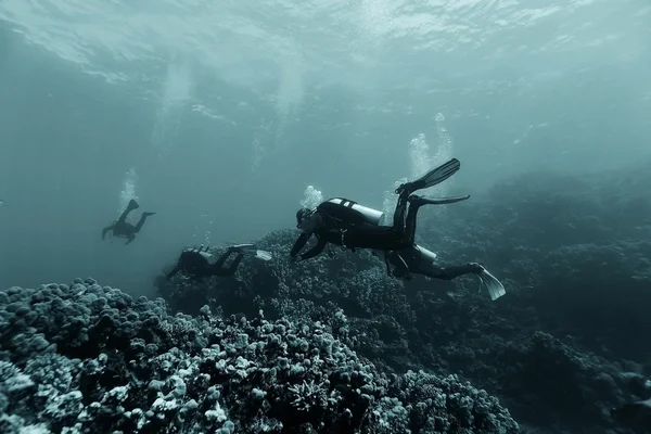 Nurków pod wodą morza — Zdjęcie stockowe
