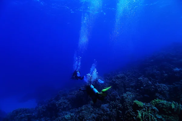 Un buzo bajo el agua — Foto de Stock