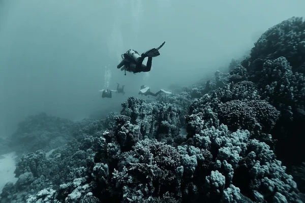 Nurków pod wodą morza — Zdjęcie stockowe