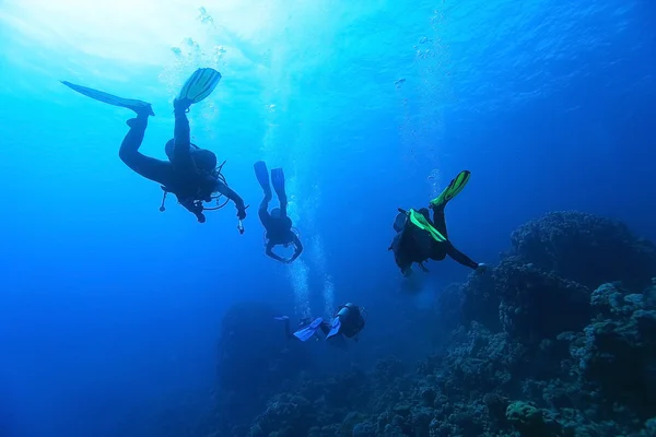 Buceadores bajo el agua del mar —  Fotos de Stock