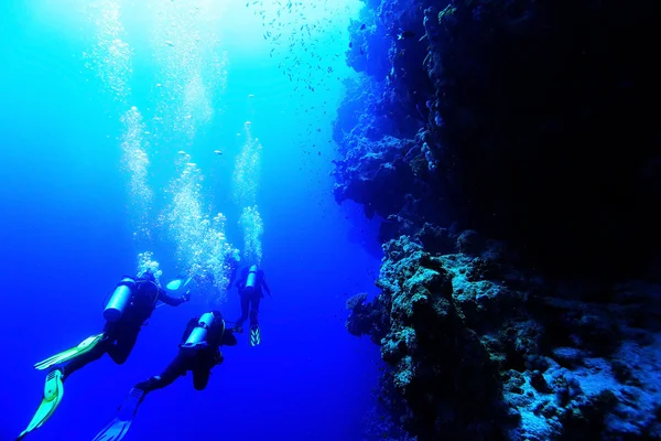 Grup dalgıçlar suyun altında — Stok fotoğraf