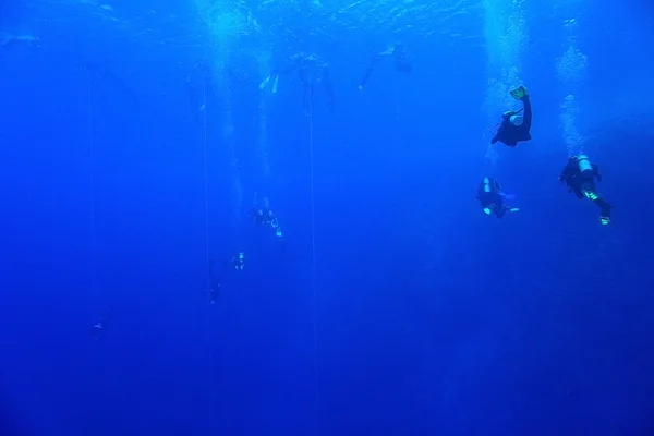 Groep van duikers onder water — Stockfoto