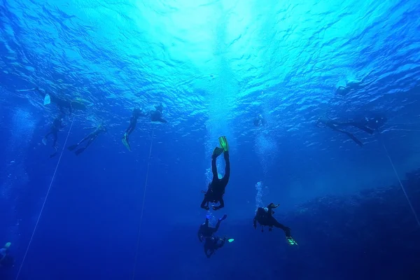 Grupo de mergulhadores subaquáticos — Fotografia de Stock