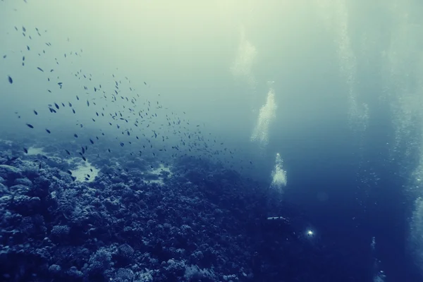 Незвичайний фото дайвер під водою — стокове фото