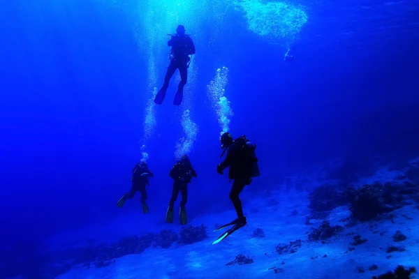 Group of divers underwater — Stock Photo, Image