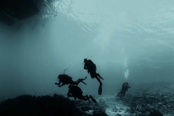 Freediving підводного фото — стокове фото