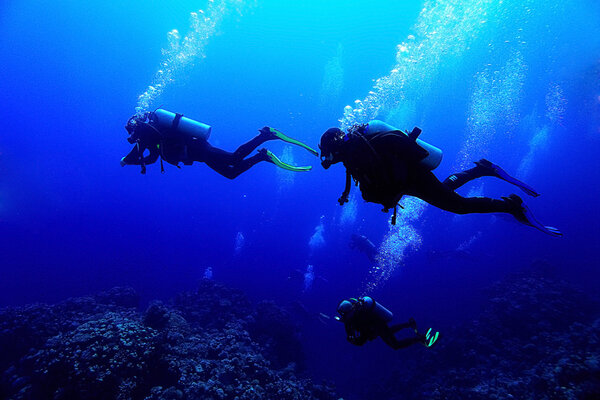 freediving scuba photo