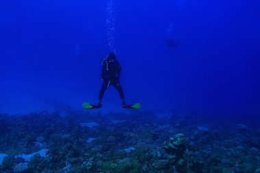 Bir dalgıç su altında