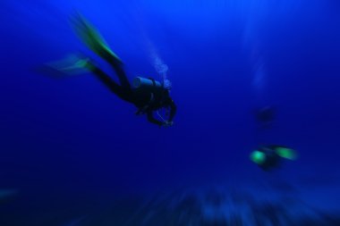 dalgıçlar suyun altında deniz