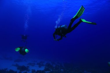 Grup dalgıçlar suyun altında
