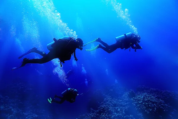 Группа водолазов под водой — стоковое фото