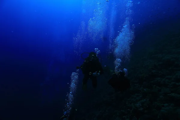 Group of divers underwater — Stock Photo, Image