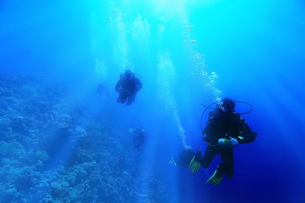 Groupe de plongeurs sous-marins — Photo