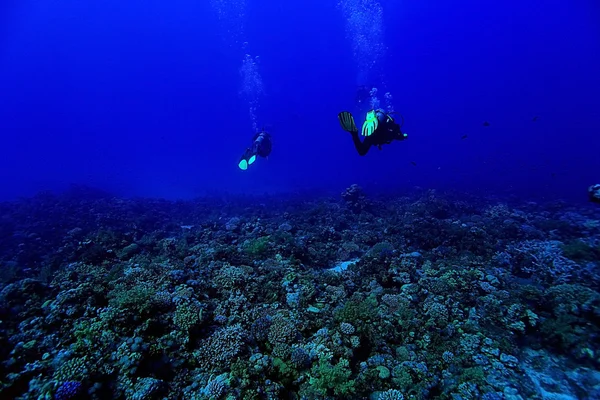 Divers in fresh water — Stock Photo, Image