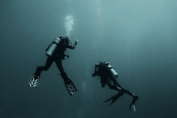 Group of divers passing exams — Stock Photo, Image