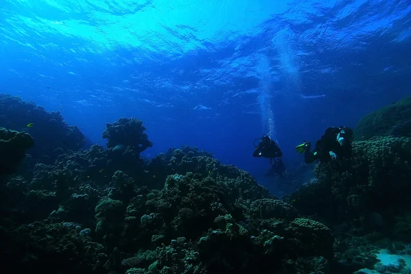 Neobvyklé fotografie potápěče pod vodou — Stock fotografie