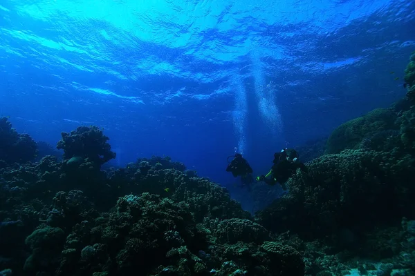 Unusual photo divers underwater — Stock Photo, Image