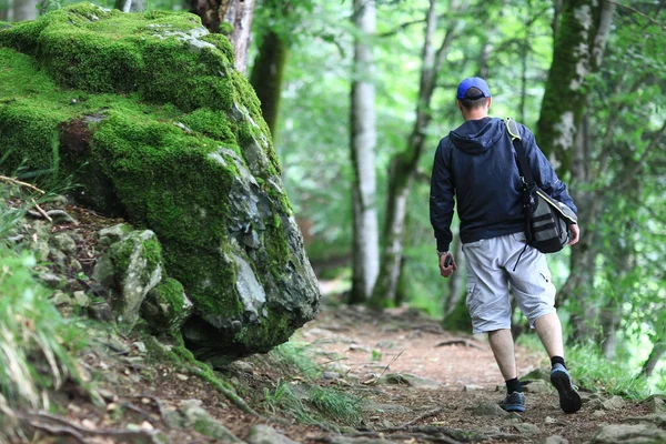 Touriste masculin dans une forêt printanière — Photo