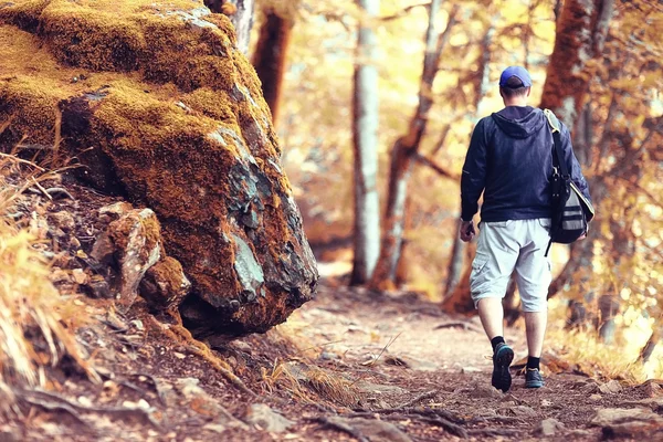 Turista masculino em uma floresta de primavera — Fotografia de Stock