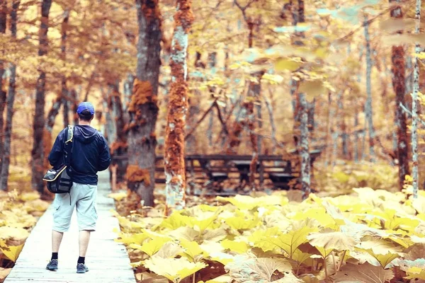 Turista masculino em uma floresta de primavera — Fotografia de Stock